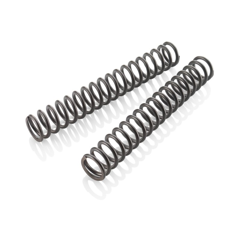 Fork spring set 