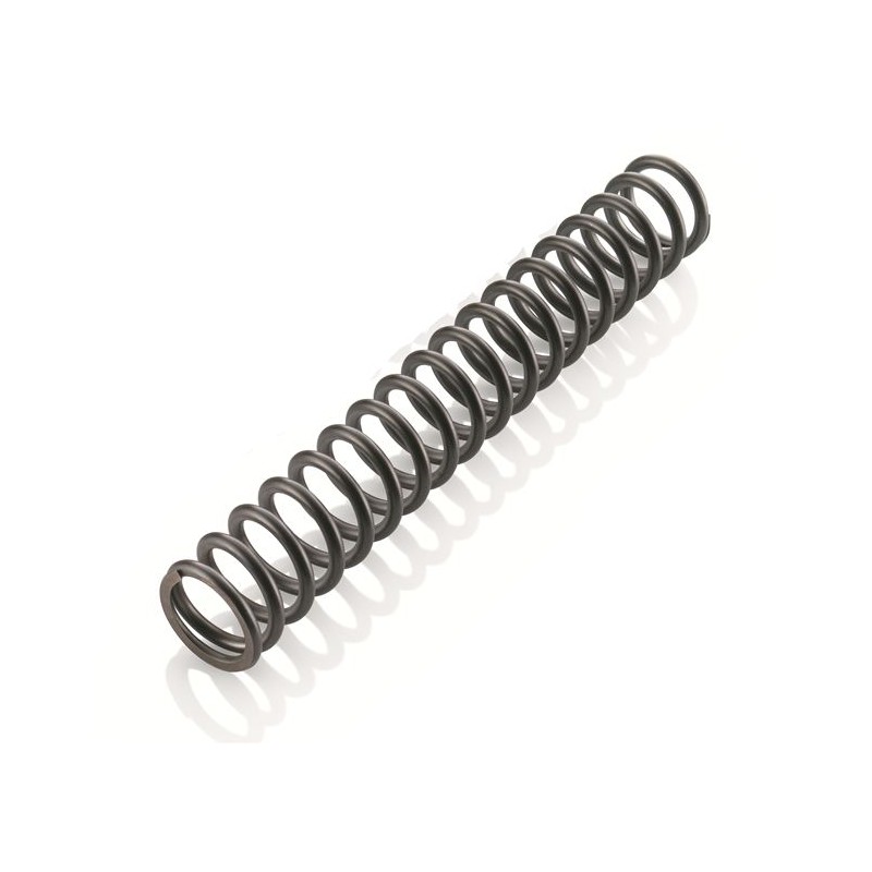 Fork spring