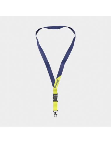 Lanyard